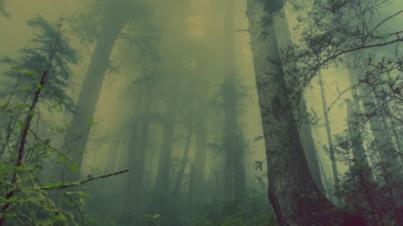 Entek Deep Listening