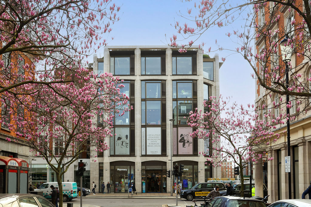 Maslow's Kensington Facade with Spring Blossoms